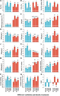 Soil Ventilation Benefited Strawberry Growth via Microbial Communities and Nutrient Cycling Under High-Density Planting